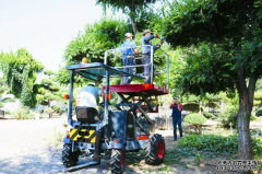 <b>天辰代理主管园林机械在绿化养护中的应用</b>