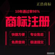<b>天辰注册平台如何申请商标注册？</b>