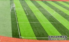 <b>【天辰平台登入】人造草足球场设计施工方案</b>